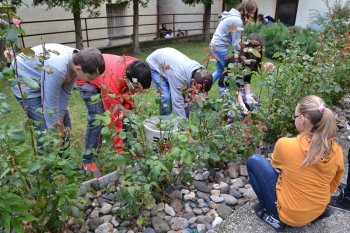 Deň dobrovoľníctva  2013