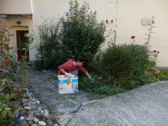 Deň dobrovoľníctva 2015