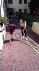 Týždeň dobrovoľníctva 2019