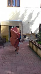 Týždeň dobrovoľníctva 2019