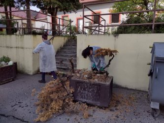 Deň dobrovoľníctva v DD a DSS na Partizánskej ulici v Krupine