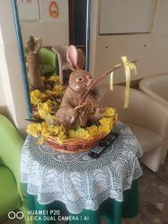 Pôstne a veľkonočné obdobie v ZSS Marína		