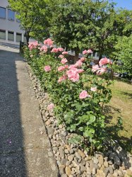 Leto a skorá jeseň