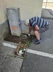 Leto a skorá jeseň