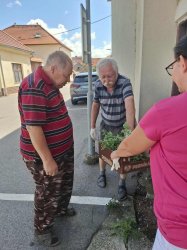 Leto a skorá jeseň