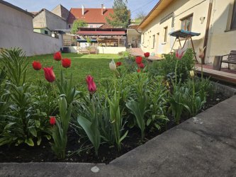 Jarné obdobie v ZSS Marína