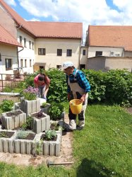 Sadenie kvetov a byliniek