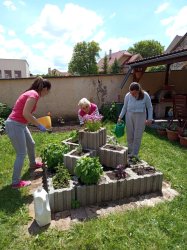 Sadenie kvetov a byliniek