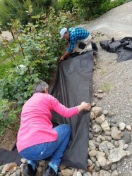 Sadenie kvetov a byliniek