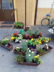 Sadenie kvetov a byliniek