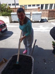 Sadenie kvetov a byliniek