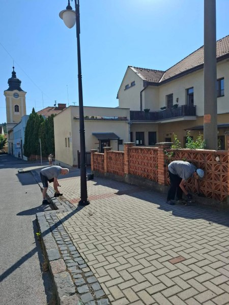 Leto v ZSS Marína