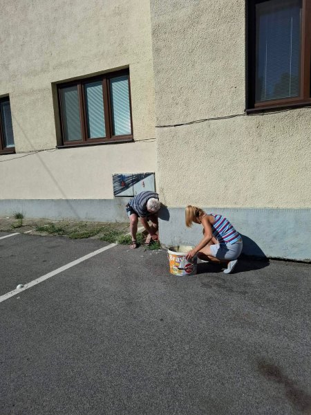 Leto v ZSS Marína