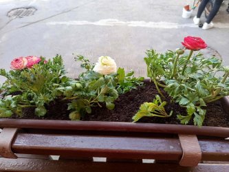 Jarné obdobie a príprava na Veľkú noc	